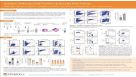 Isolation of Mouse CD45 Positive Leukocytes from Tissues