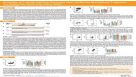 Generation of T and NK Cells From Pluripotent Stem Cell-Derived Hematopoietic Progenitors in a Stroma-Free, Serum-Free Culture System