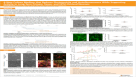 A New Culture Medium That Reduces Phototoxicity and Autofluorescence While Supporting Activity in Long-Term Primary Tissue- and hPSC-Derived Neurons
