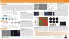 High-Throughput-Compatible Differentiation of Human Pluripotent Stem Cell Lines to Kidney Organoids for Nephrotoxic Drug Screening