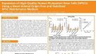 Expansion of High-Quality Human Pluripotent Stem Cells (hPSCs) Using a Novel Animal Origin-Free and Stabilized hPSC Maintenance Medium
