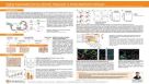 Highly Expandable Human Alveolar Organoids to Study Respiratory Diseases