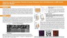 Expansion and Differentiation Potential of Human Pluripotent Stem Cells Maintained in cGMP Animal Origin-Free Medium