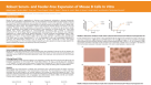 Robust Serum- and Feeder-Free Expansion of Mouse B Cells In Vitro