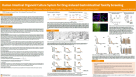 Human Intestinal Organoid Culture System for Drug-Induced Gastrointestinal Toxicity Screening