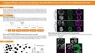 A Reliable, Efficient, and Matrix-Free Method to Generate Midbrain Organoids from Human Pluripotent Stem Cells
