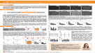 A Simple and Efficient Culture System for the Large-Scale Expansion of Human Pluripotent Stem Cell-Derived Cardiomyocytes