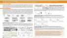 A Serum-free Medium For Expanding Patient-derived Cystic Fibrosis Rectal Organoids And Performing Functional Assays