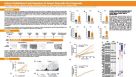Robust Establishment and Expansion of Human Pancreatic Duct Organoids