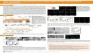 Robust Establishment and Expansion of Multilineage Human Fallopian Tube Organoids in Serum-Free Medium