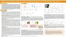Measuring Activity in Human Pluripotent Stem Cell-Derived Neural Organoids for Disease Modeling and Drug Discovery