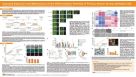 Improved Expansion and Maintenance of the Differentiation Potential of Primary Human Airway Epithelial Cells