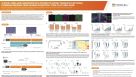 A Novel mRNA-LNP Platform to Rapidly Generate Functional Forebrain Neurons from hPSCs Using NGN2