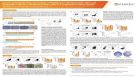 Serum- and Feeder-Free Generation of Multipotent Hematopoietic Stem and Progenitor Cells from Pluripotent Stem Cells in a Suspension Culture System