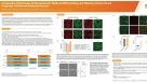 Comparative Performance of Neural-Specific Media in Differentiating and Maturing Human Neural Progenitor Cell-Derived Forebrain Neurons