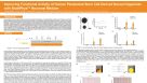 Improving Functional Activity of Human Pluripotent Stem Cell-Derived Neural Organoids with BrainPhys Neuronal Medium