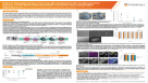 Efficient Reprogramming of Human Blood-Derived Cells via Non-Invasive Delivery of Self-Replicating ReproRNA™-OKSGM Using SOLUPORE®