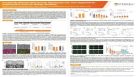 Functionally Relevant hPSC-Derived Hepatocytes and Liver Organoids for Hepatotoxicity and Liver Biology Modeling