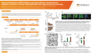 Improved Expansion, Differentiation, and Cystic Fibrosis Transmembrane Regulator Function of Human Nasal Epithelial Cells Supporting Drug Screening