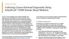 Culturing Cancer-Derived Organoids Using IntestiCult™ Organoid Growth Medium (Human)