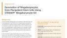 Generation of Megakaryocytes from Pluripotent Stem Cells Using STEMdiff™ Megakaryocyte Kit