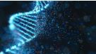 Achieve Scalable, High-Quality Nucleic Acid Extractions with the EasySep™ Total Nucleic Acid Extraction Kit