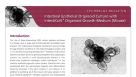Intestinal Epithelial Organoid Culture with IntestiCult™ Organoid Growth Medium (Mouse)