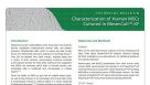 Characterization of Human MSCs Cultured in MesenCult™-XF