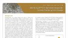 MethoCult™ for Rat Hematopoietic Colony-Forming Unit (CFU) Assays