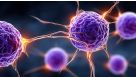 Mouse Immune Cell Isolation Course