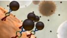 EasySep&trade;: Powerful Immunomagnetic Isolation of Virtually Any Cell Type