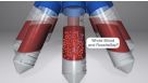 Isolate Highly Purified Cells for HLA Analysis with RosetteSep™ Immunodensity Cell Isolation