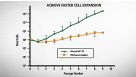 MesenCult&trade;-XF Introduction: A Defined, Xeno-free Medium for Human MSCs