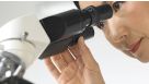Contract Assay Services: Reach Your Milestones Earlier