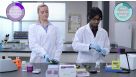 Comparison of Mouse Immune Cell Isolation Protocols: EasySep™ vs. Column-Based Magnetic Separation