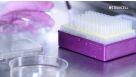 Semi-Solid Cloning of CHO Cells Using ClonaCell™-CHO Medium