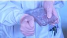 Tapping Technique for Passaging Pluripotent Stem Cells Using ReLeSR™ Selection and Passaging Reagent