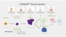 STEMdiff™ Neural System for hPSC-Based Neurological Modeling