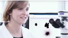 Contract Assay Services at STEMCELL Technologies Inc