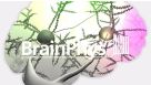 BrainPhys™: A New Way to Culture Neurons
