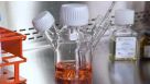 Large-Scale Expansion of Human Pluripotent Stem Cells in 3D Suspension Culture with mTeSR™3D Medium