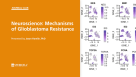 STEMCELL Journal Club: Mechanisms of Glioblastoma Resistance