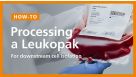 How to Process a Leukopak for Downstream Cell Isolation