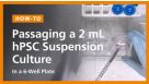 Passaging a 2 mL hPSC Suspension Culture in a 6-Well Plate