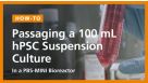 Passaging a 100mL hPSC Suspension Culture in a PBS-Mini Bioreactor