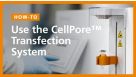 How to Use the CellPore™ Transfection System