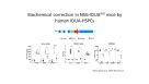 Engineering the Hematopoietic System to Treat Non-Hematological Disorders
