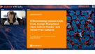 Differentiating Immune Cells from Human Pluripotent Stem Cells in Feeder- and Serum-Free Cultures