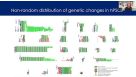 From hPSCs to Immune Cells: Mechanisms of Selection in Human Pluripotent Stem Cell Cultures