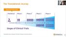 From hPSCs to Immune Cells: Key Considerations for Your Translational Journey